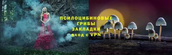 индика Верея