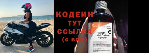 индика Верея
