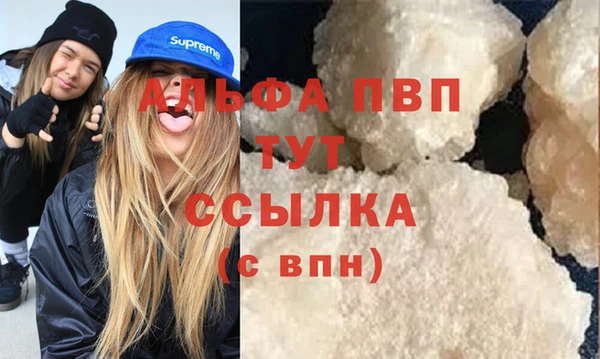 индика Верея