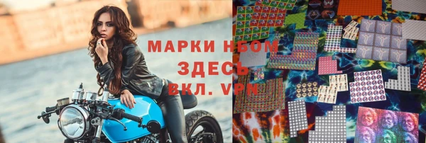 индика Верея