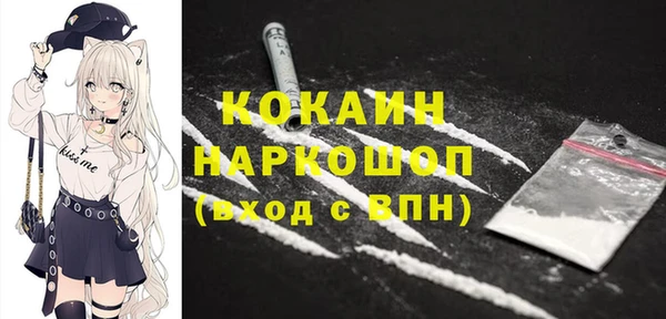 индика Верея
